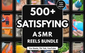 Satisfying Reels Bundle ASMR Faceless Videos (PLR)
