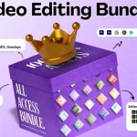 Video Editing Master Bundle PLR